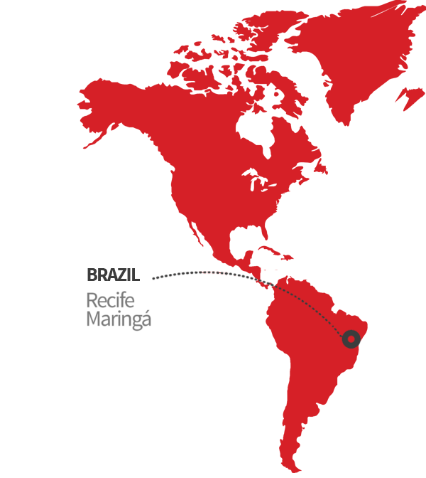 asset-2300-ppi-1940×2173-600×6722-EN